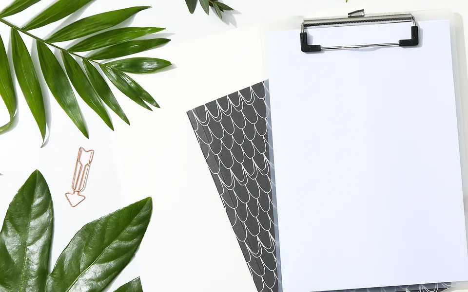 Clipboard with a blank white sheet on a white desk, framed by green palm leaves and a paper clip