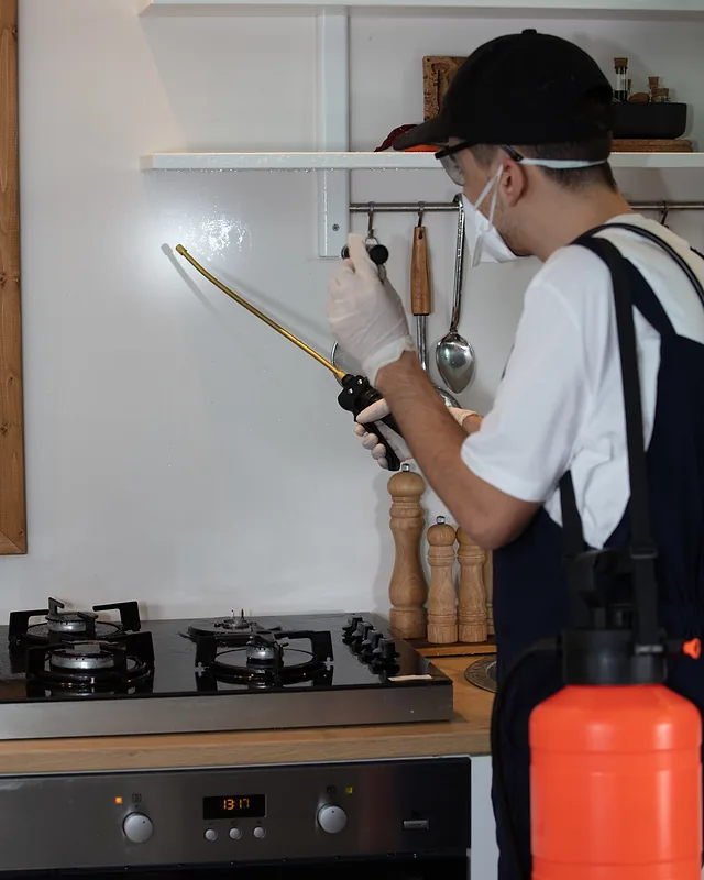 Pest control technician in a cap and face mask spraying along a kitchen wall with a hand-pump sprayer