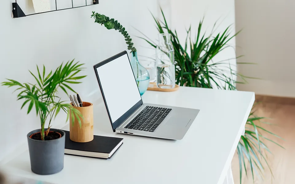 Open laptop with a blank white screen on a white desk surrounded by leafy indoor plants